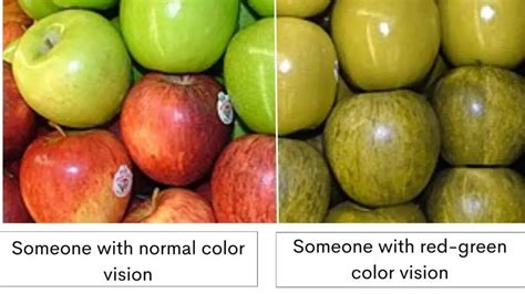 The Genetics of Red-Green Color Blindness: Causes, Symptoms, and Treatment — Health Fix Guide ...