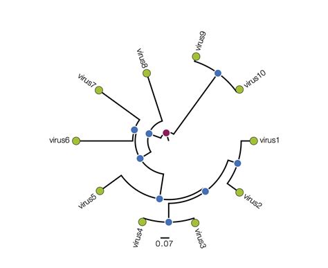 Artic Network