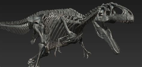 Vitamin Imagination - Giganotosaurus skeleton