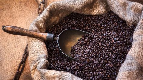 What is Robusta Coffee? - Coffee Expert