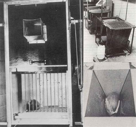 The 7 Most Terrifying Experiments Ever Conducted