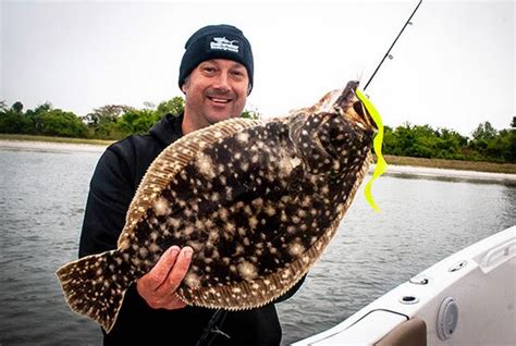 Floundering Marine Fisheries: The saga of southern flounder in NC - North Carolina Wildlife ...