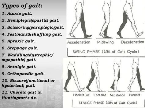 gait types - Google meklēšana | Cycle, Orthopedics, Physical therapy