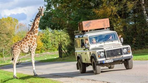 Serengeti Park Tickets: mit Rabatt nur 29 € (statt 37,50 €)