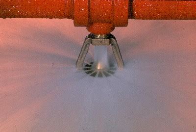 Esfr Sprinkler System Design Requirements - Captions Update Trendy