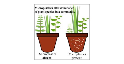 Effects of Microplastic Fibers and Drought on Plant Communities | Environmental Science & Technology