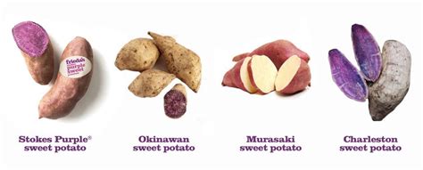 The Ultimate Purple Sweet Potato Guide | Frieda's Inc. - The Specialty ...