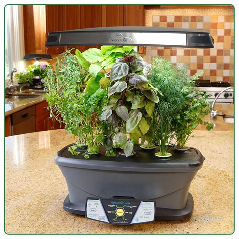 Indoor Herb Garden Light Kit : Indoor Herb Garden Kit | My Greens Light Garden | Gardener ...