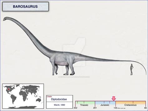 Size comparison scale | The World of Animals