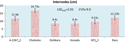 Growth and yield performance of sorghum (Sorghum bicolor L.) crop under ...