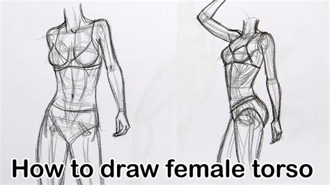 Female Torso Drawing