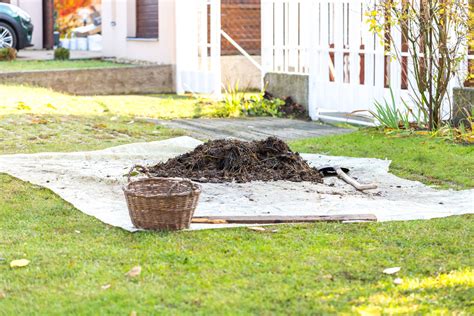 Making and Using Manure Tea in Your Garden