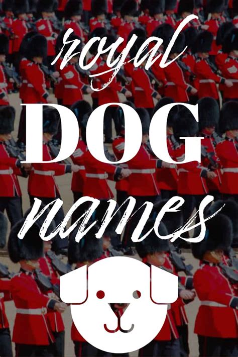 70+ Royal Dog Names and Their Meanings