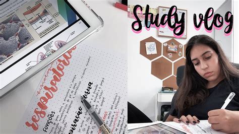 STUDY VLOG / study with me | StudyTiips - YouTube