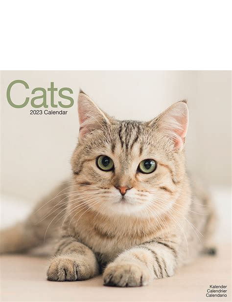 Cats 2023 Luxury Calendar | Chums
