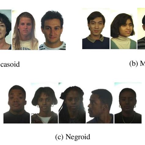 Face image of different human race (SFA (Skin Face Analysis) dataset [29]). | Download ...