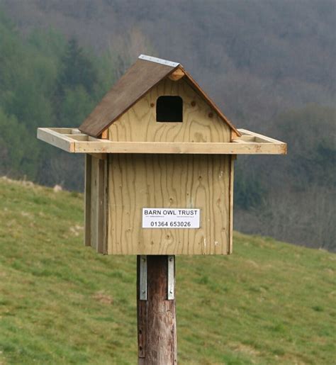 Barn Owl nestboxes for inside buildings | Bird houses diy, Bird house ...