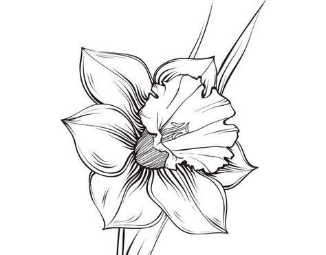 Narcissus Flower coloring page Finger Tattoo in 2020 | Daffodil tattoo, Narcissus flower tattoos ...