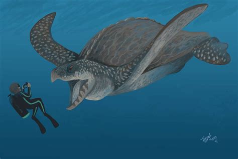 Diving with Archelon by HodariNundu on DeviantArt | Prehistoric wildlife, Prehistoric creatures ...