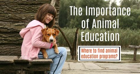 Everything You Need to Know: Animal Welfare & Humane Education in ...