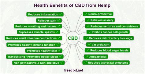 Hemp CBD Oil – Welcome to Our Farm