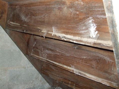 How to Treat a Mold Infestation on Wood With Borax 20 Mule Team Powder ...