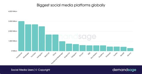 Social Media Usage 2024 - Jodee Lynnell