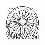 Premium Vector  Daisy Flower coloring Pages outline vector For sketch template
