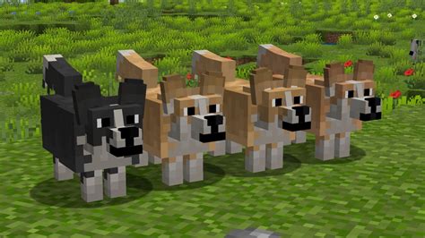 🐶 Better Dogs - Pack de Textures Minecraft - 1.8 → 1.21 - Minecraft.fr