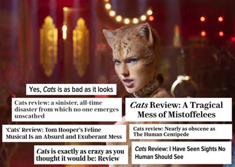 Critics Hate 'Cats': Here Are The Most Vicious Movie Reviews - Stereogum