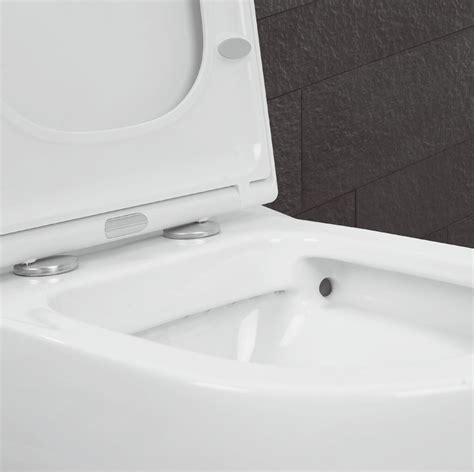 Everything You Need to Know About Revolutionary Rimless Toilets - Ross ...