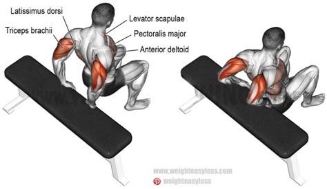 How to Tricep Dips on Bench | Exercise Videos & Guides