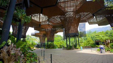 Jardin botanique de Medellín : Découvrez Medellin avec Expedia.fr