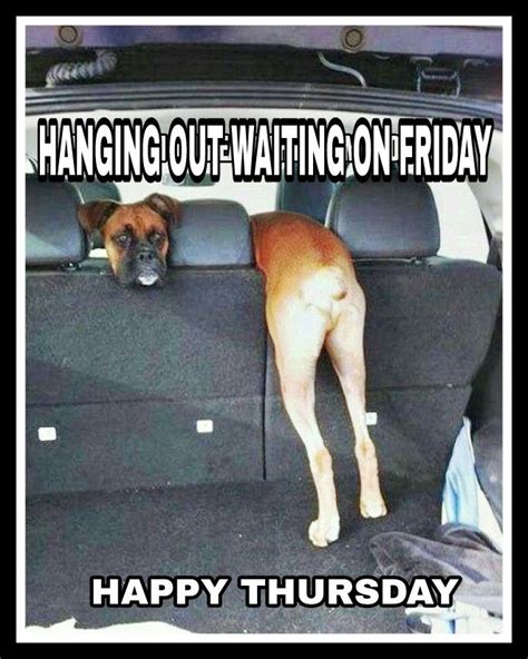 Happy Thursday | Funny dog pictures, Funny animal jokes, Funny animal memes