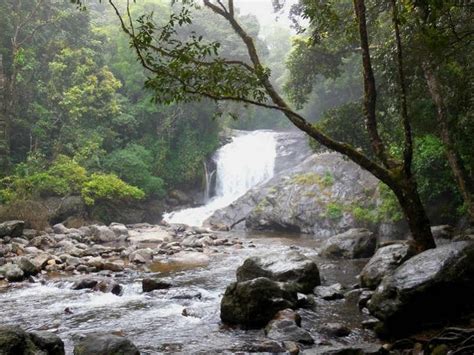 20 Incredible Waterfalls In Kerala To See In 2024 – Iris Holidays