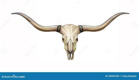 Longhorn Skull Stock Illustrations – 972 Longhorn Skull Stock ...