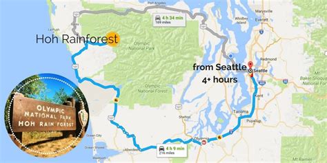 Hoh Rainforest Olympic National Park Map - 2TravelDads