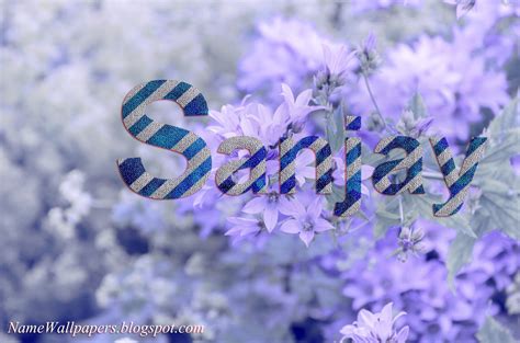 Sanjay Name Wallpapers Sanjay ~ Name Wallpaper Urdu Name Meaning Name Images Logo Signature