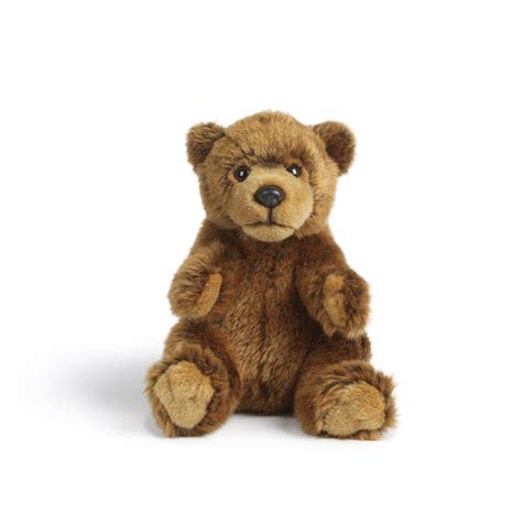 Plush Brown Bear Soft Toy