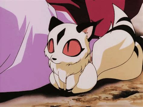 Kirara Cat GIF - Kirara Cat Cute - Discover & Share GIFs | Inuyasha ...