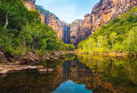 Archives des Kakadu - Arts et Voyages