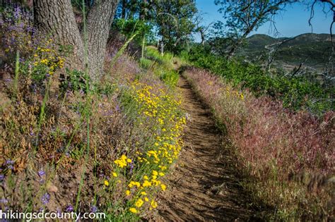 Laguna to Cuyamaca - Hiking San Diego County