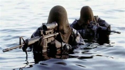 Danish Frogman Corps | Special forces, Military special forces, Navy ...