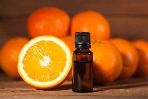 The Essential Oil That Started It All - DoTerra Wild Orange • Simple Nourished Living