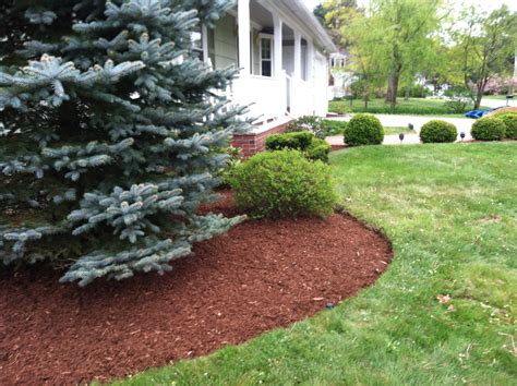 Bark Mulch for a Beautiful Yard in NH - Spring Landscaping Services