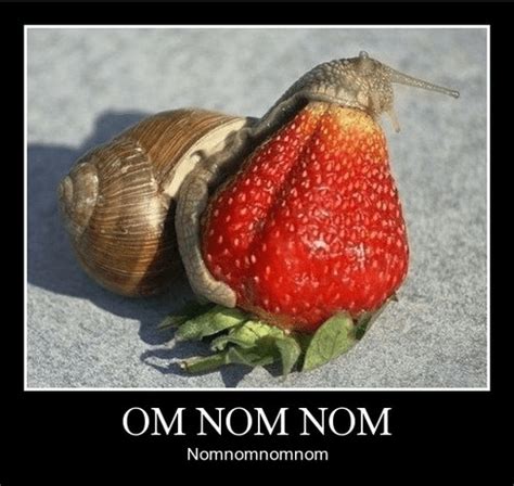 Very Demotivational - snail - Very Demotivational Posters - Start Your ...