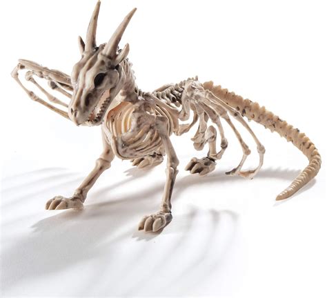 PREXTEX Dragon Skeleton Bone White Halloween Decorations: Amazon.co.uk: Kitchen & Home