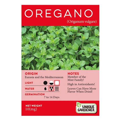 Oregano Seeds 3-Pack