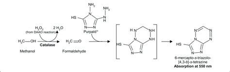 Catalase And Hydrogen Peroxide Chemical Equation - Tessshebaylo