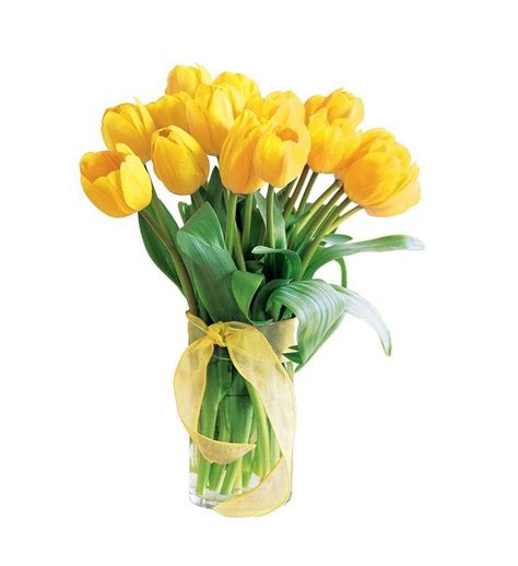 Spring Tulips- Deluxe Yellow | Flower delivery, Spring tulips, Tulips